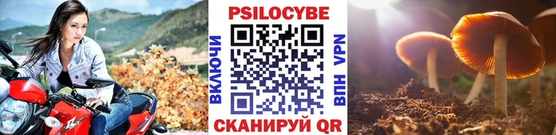 Псилоцибиновые грибы MAGIC MUSHROOMS  Слюдянка 